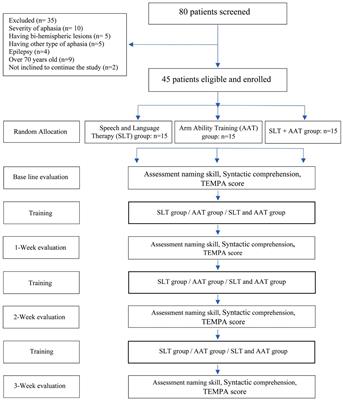 Synergistic effects of combined motor and language interventions on stroke rehabilitation: a holistic approach